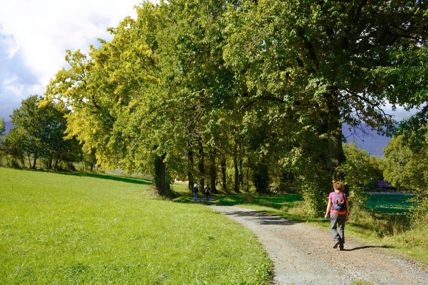 Parc des Bastions, image 1 of 1