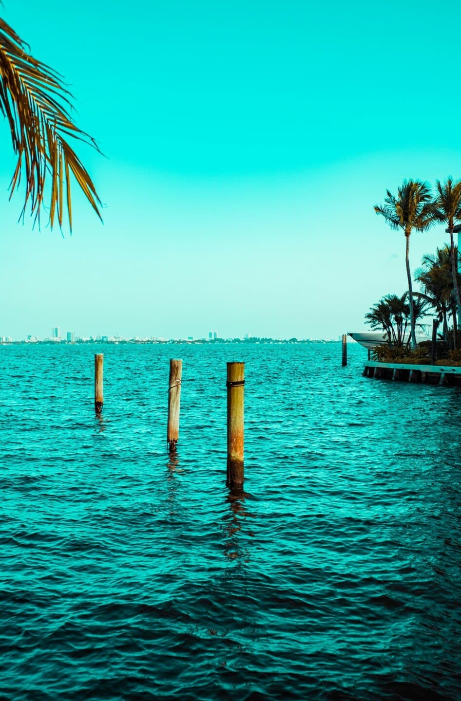 Lagniappe, image 1 of 1