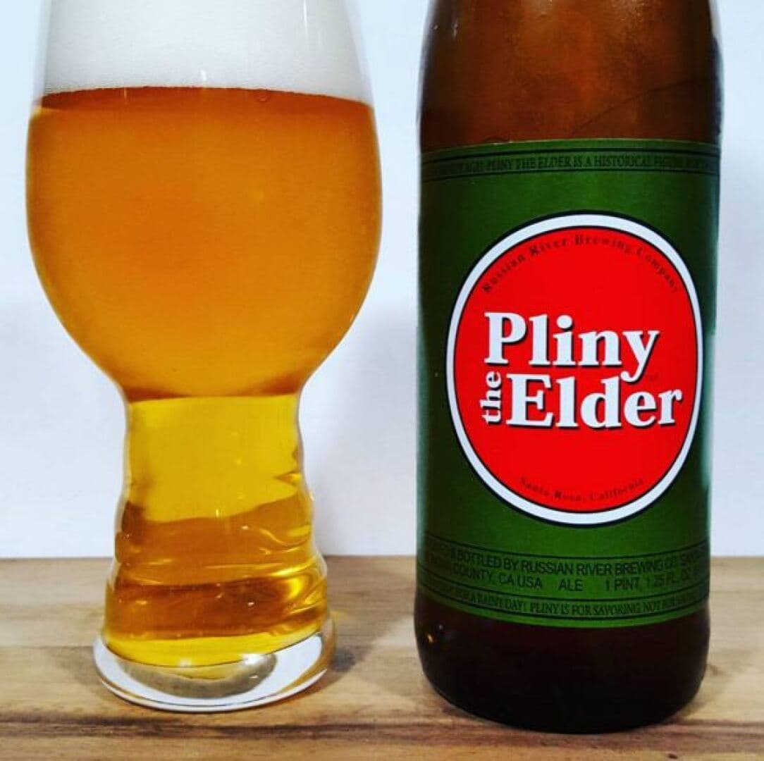 Pliny the Elder, image 1 of 1