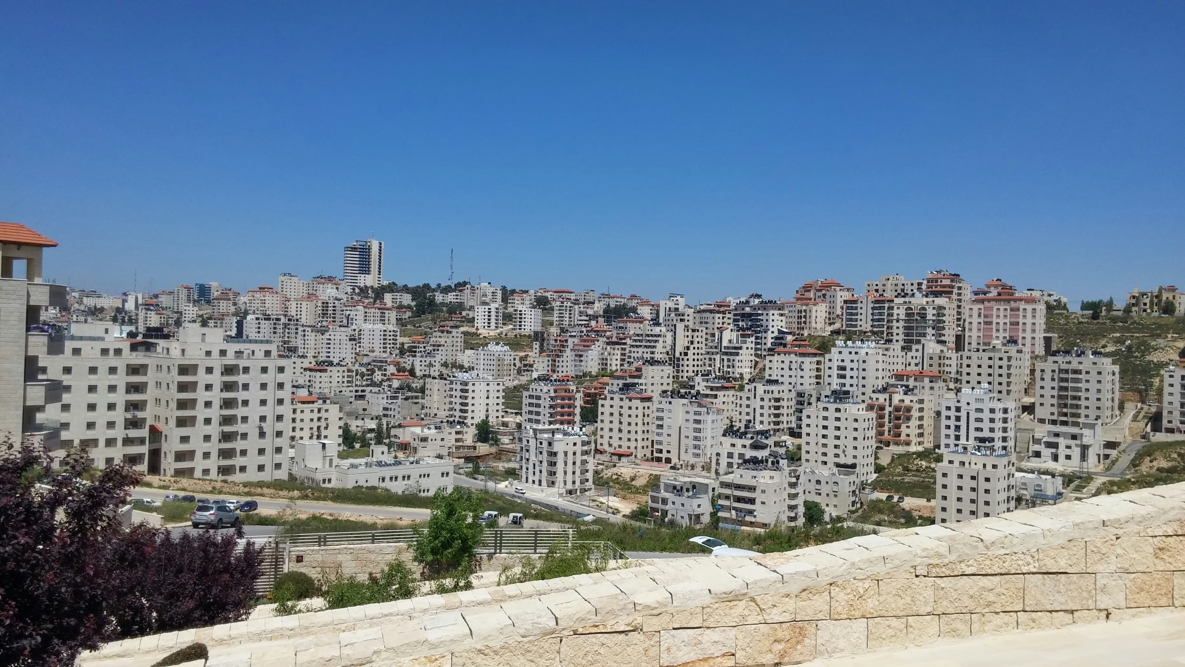 גלריית אלון שגב, image 1 of 1