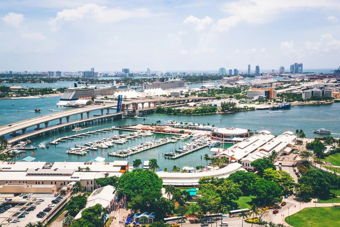 Royal Caribbean Group, image 1 of 1