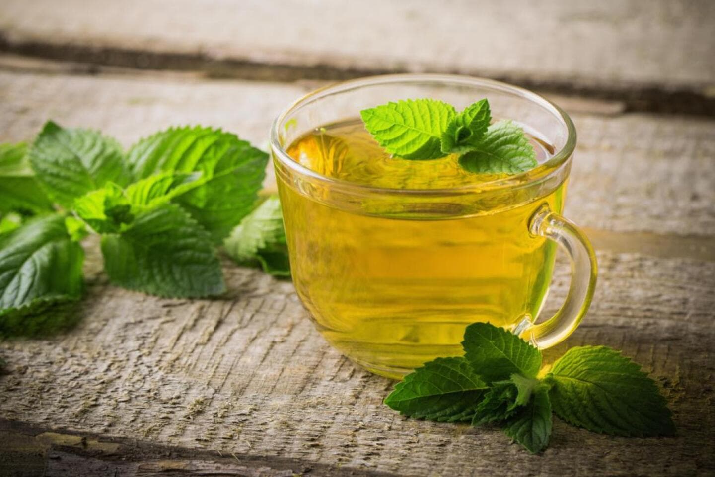 Peppermint Tea, image 1 of 1