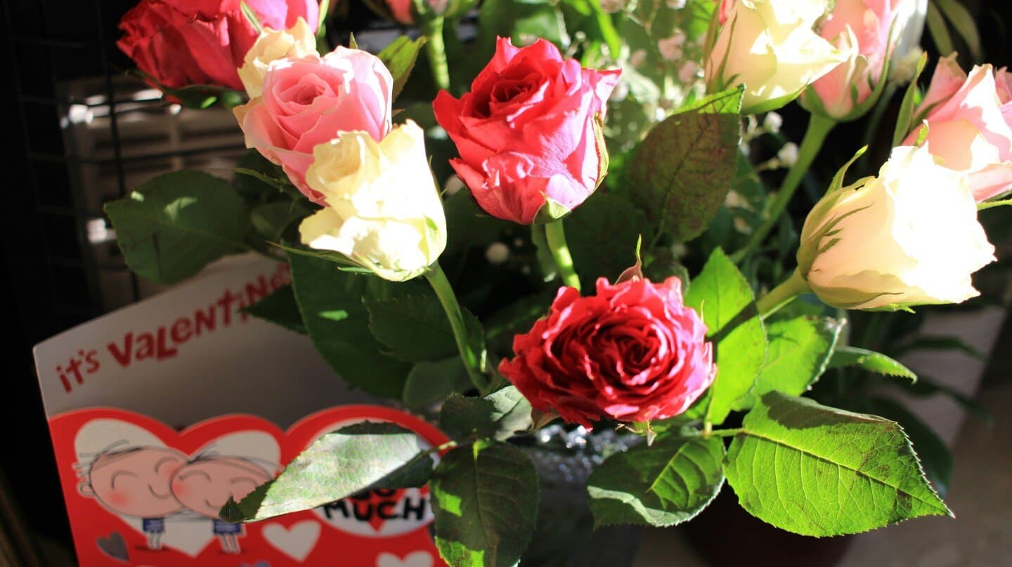 Le Valentin, image 1 of 1