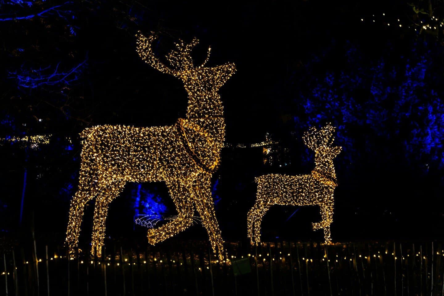 ZooLights at Stone Zoo, image 1 of 1