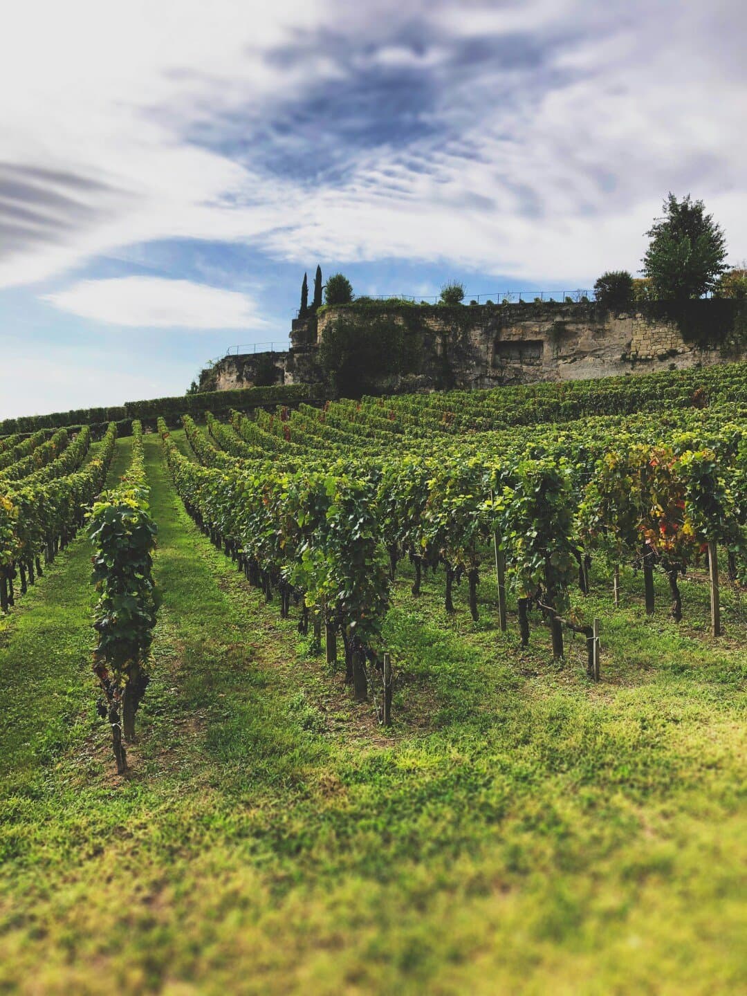 Domaine du Château Rochefort, image 1 of 1