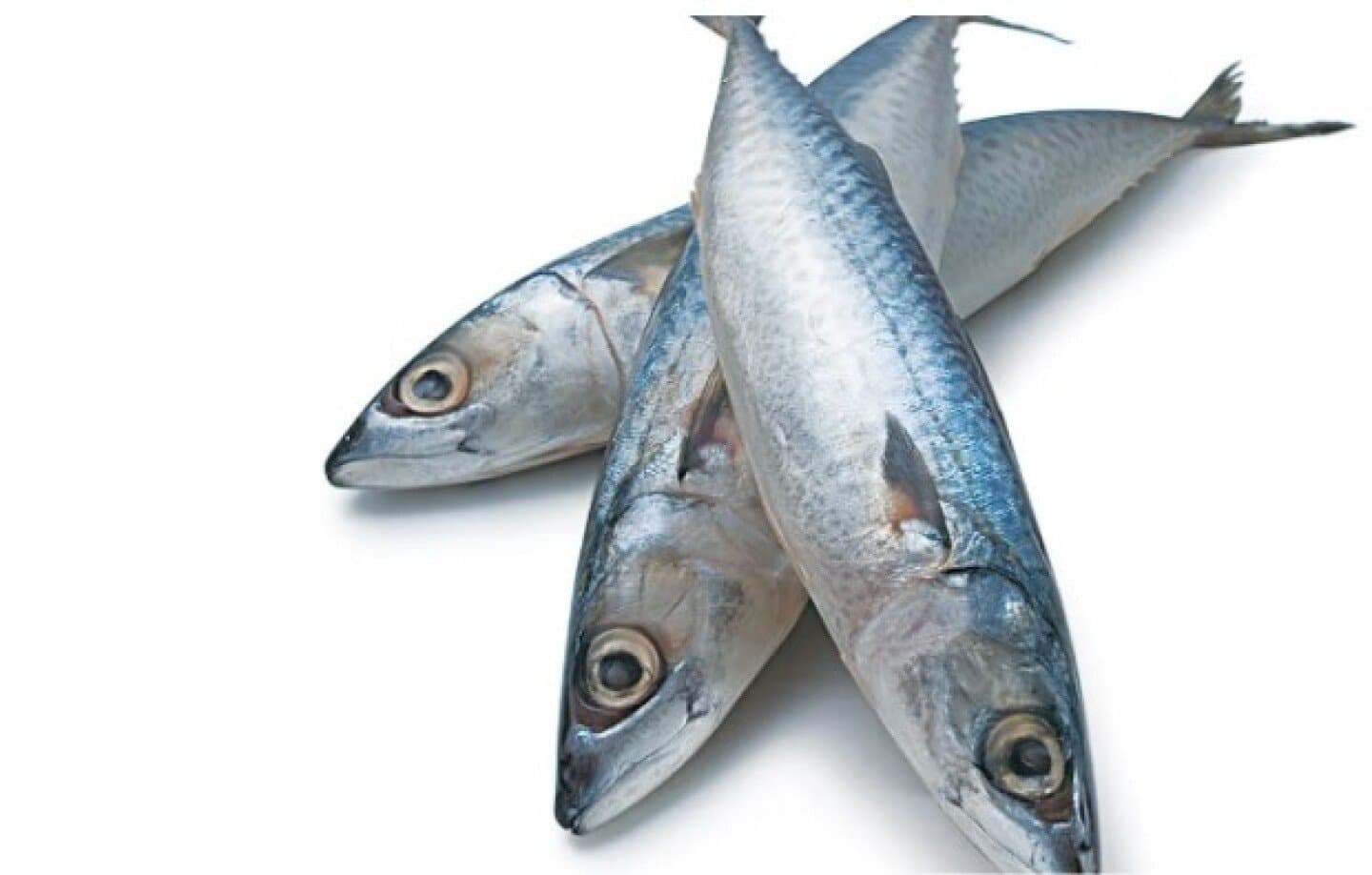 Sardinhas, image 1 of 1