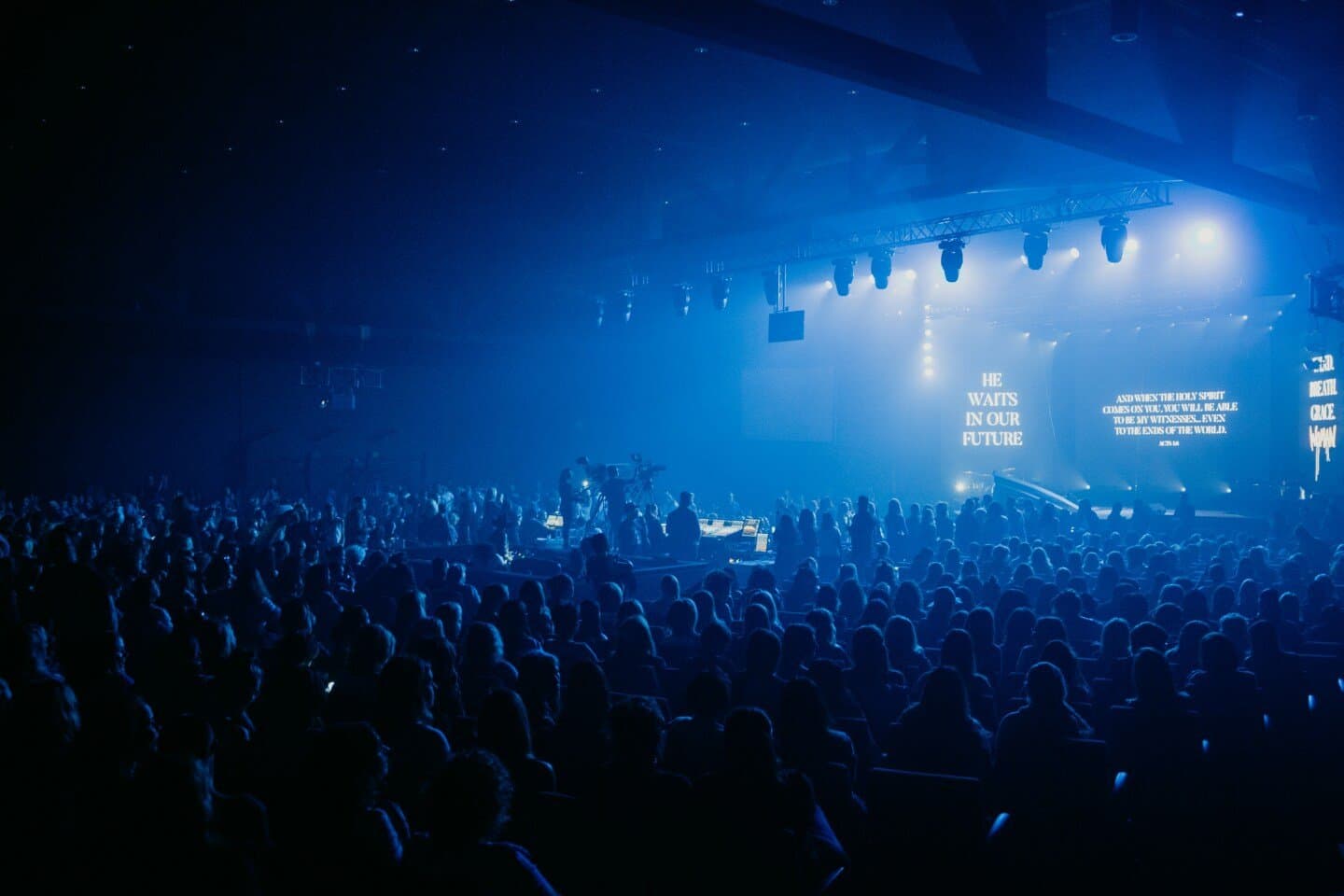 Muse, image 1 of 1