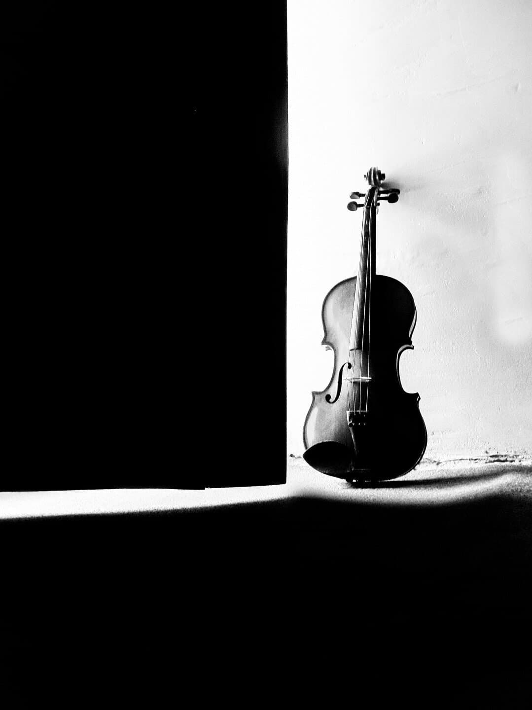 Le Violon Dingue, image 1 of 1