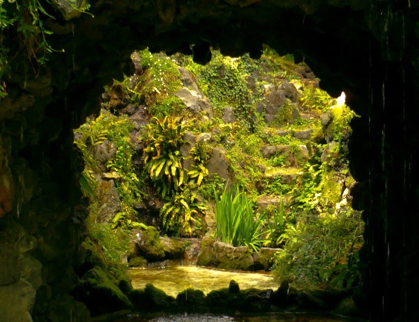Rio Scenarium, image 1 of 1