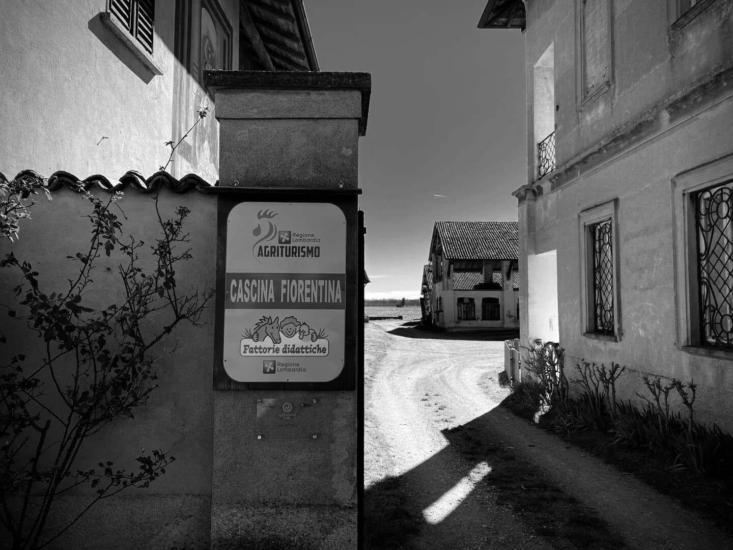 Taberna Casa Curro, image 1 of 1