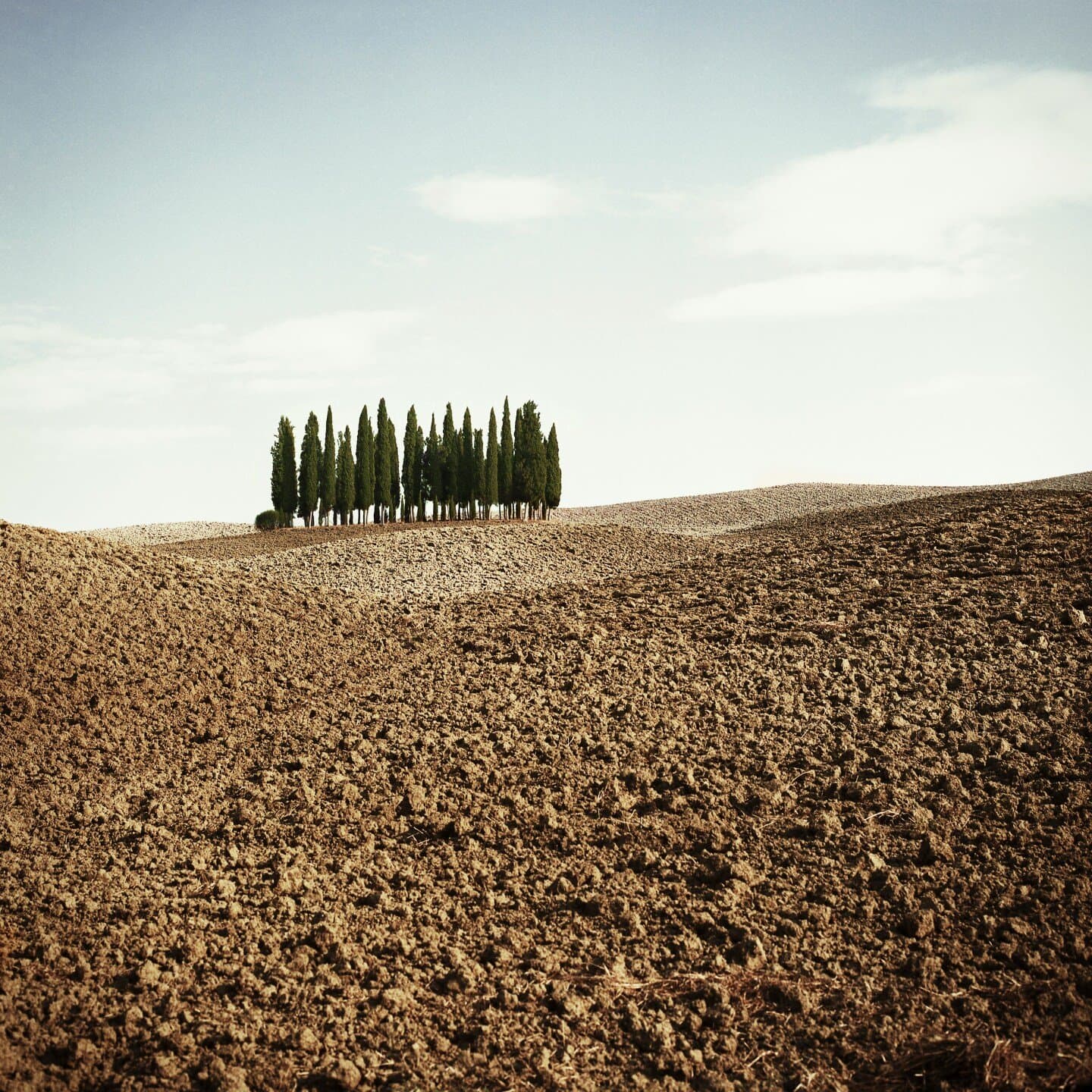 Il Canto della Terra, image 1 of 1