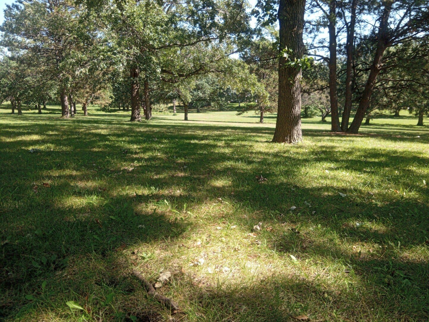 Replay Lincoln Park, image 1 of 1