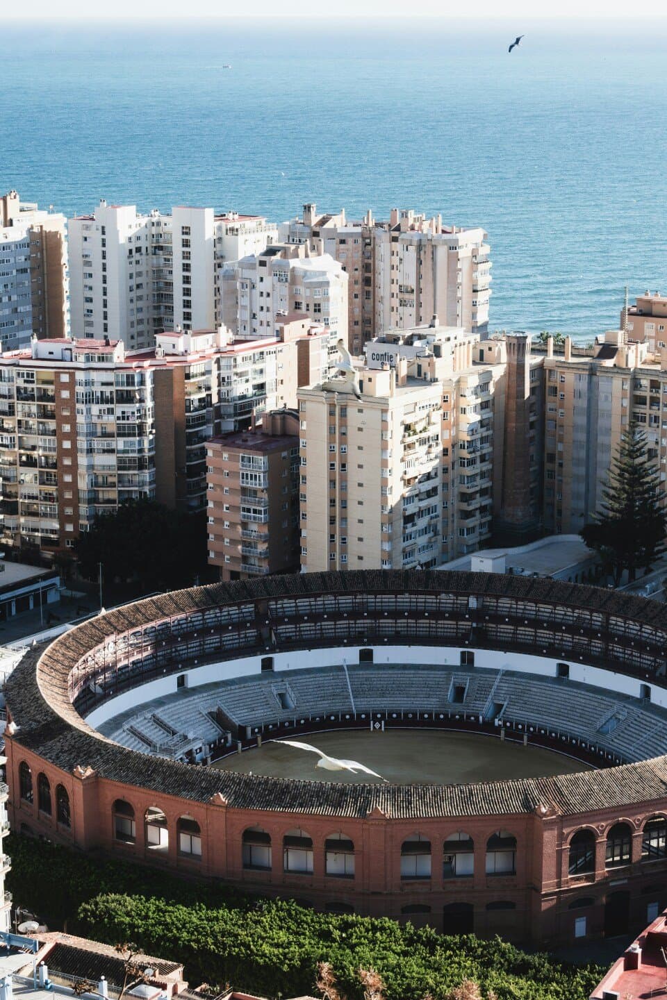 Santiago Bernabéu, image 1 of 1