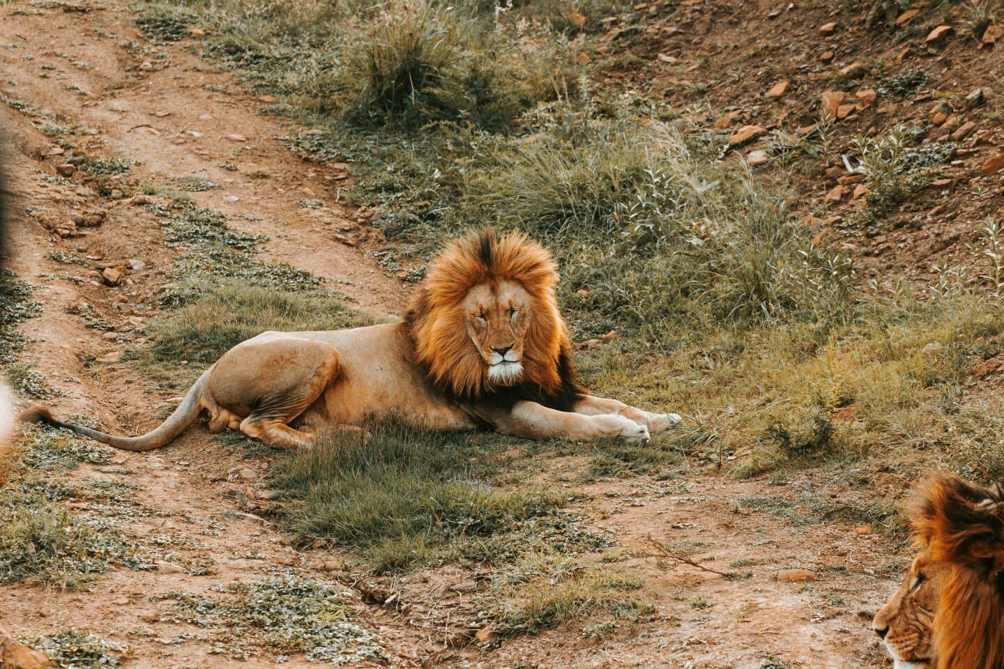 Deran Cody (Animal Kingdom, 2016), image 1 of 1