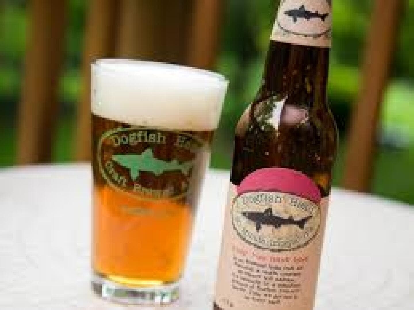 Dogfish Head 90 Minute IPA, image 1 of 1