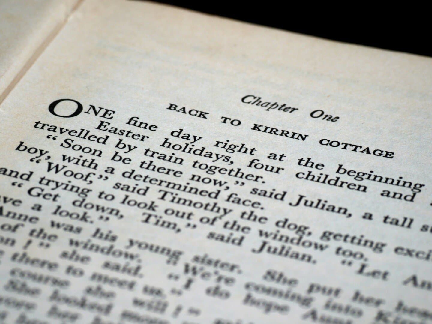Chapter One, image 1 of 1