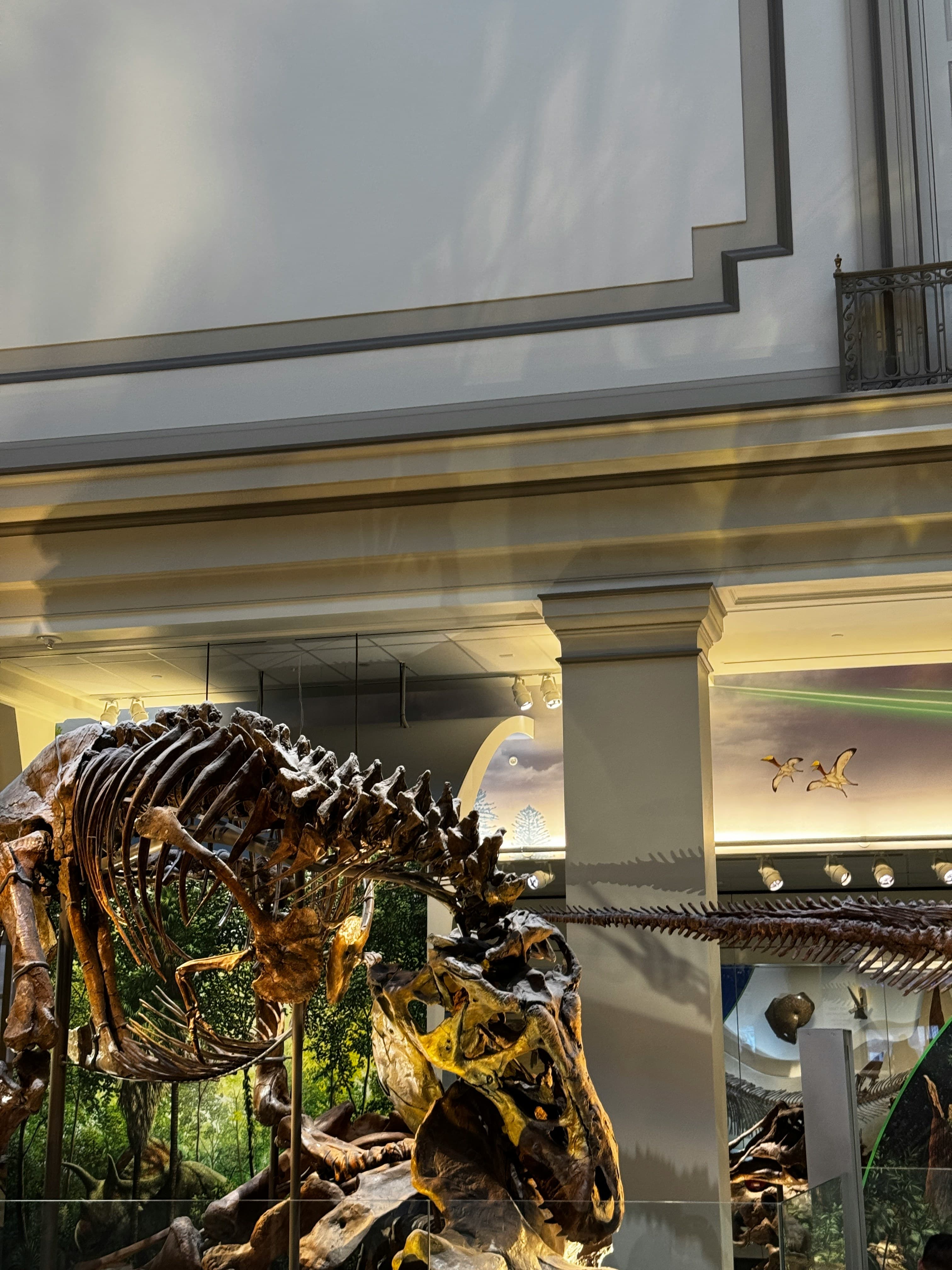 American Museum of Natural History, image 1 of 1