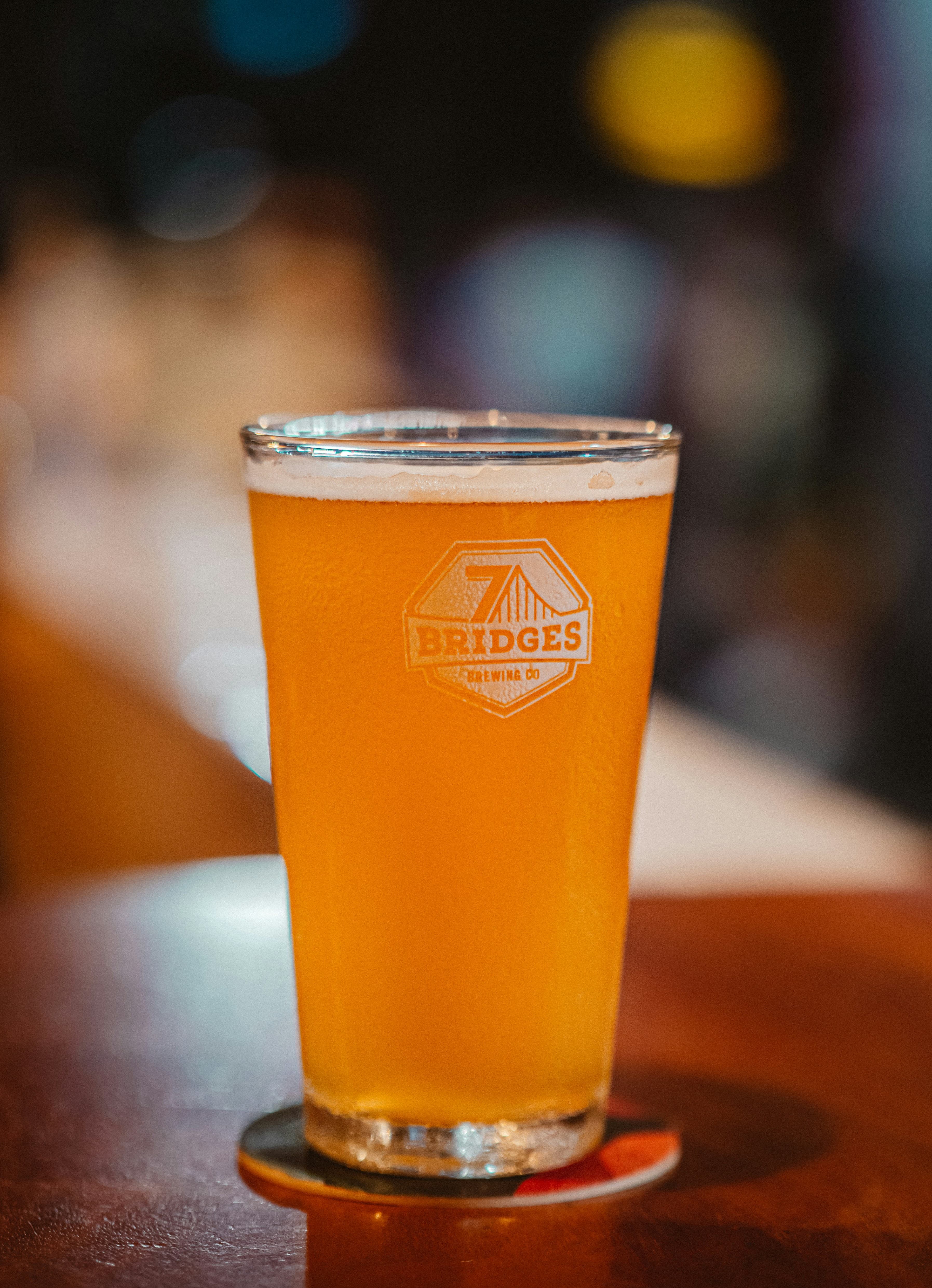 Harpoon IPA, image 1 of 1