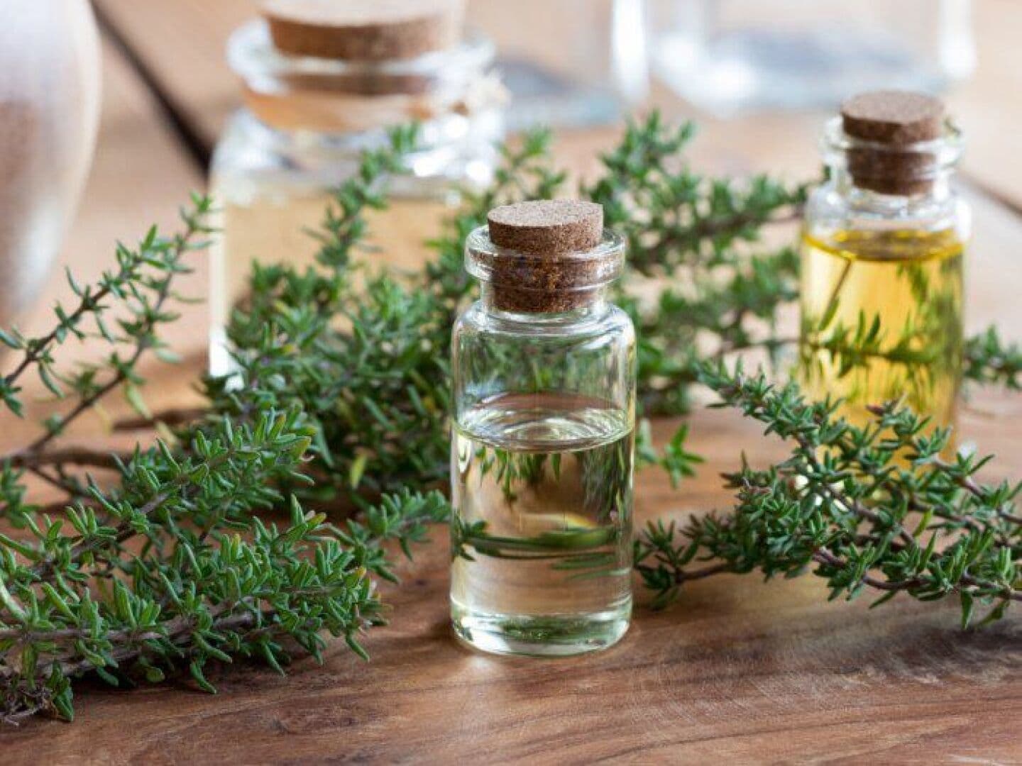 Thyme, image 1 of 1