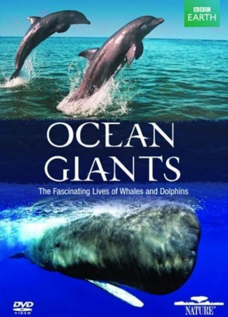 Ocean Giants, image 1 of 1