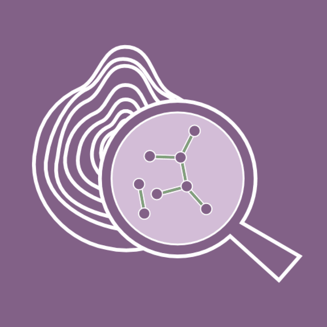 Onionscan, image 1 of 1