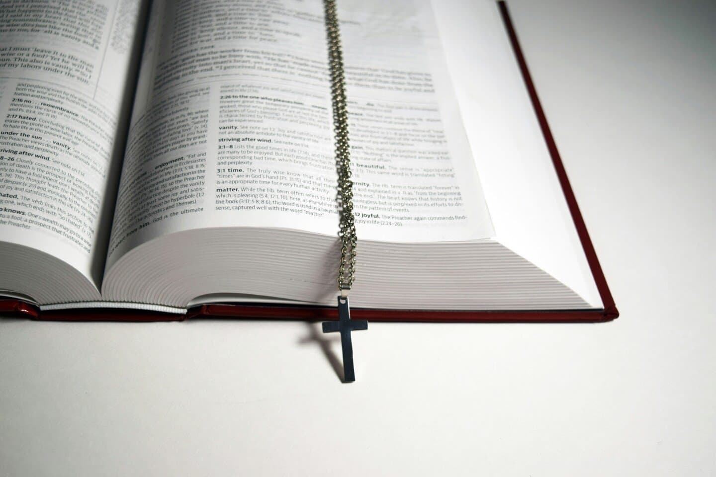 Il Segnalibro, image 1 of 1