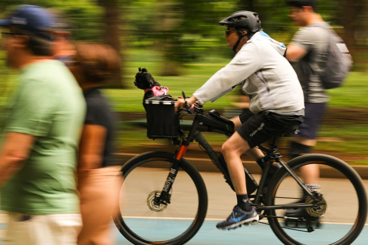 Parque do Ibirapuera, image 1 of 1