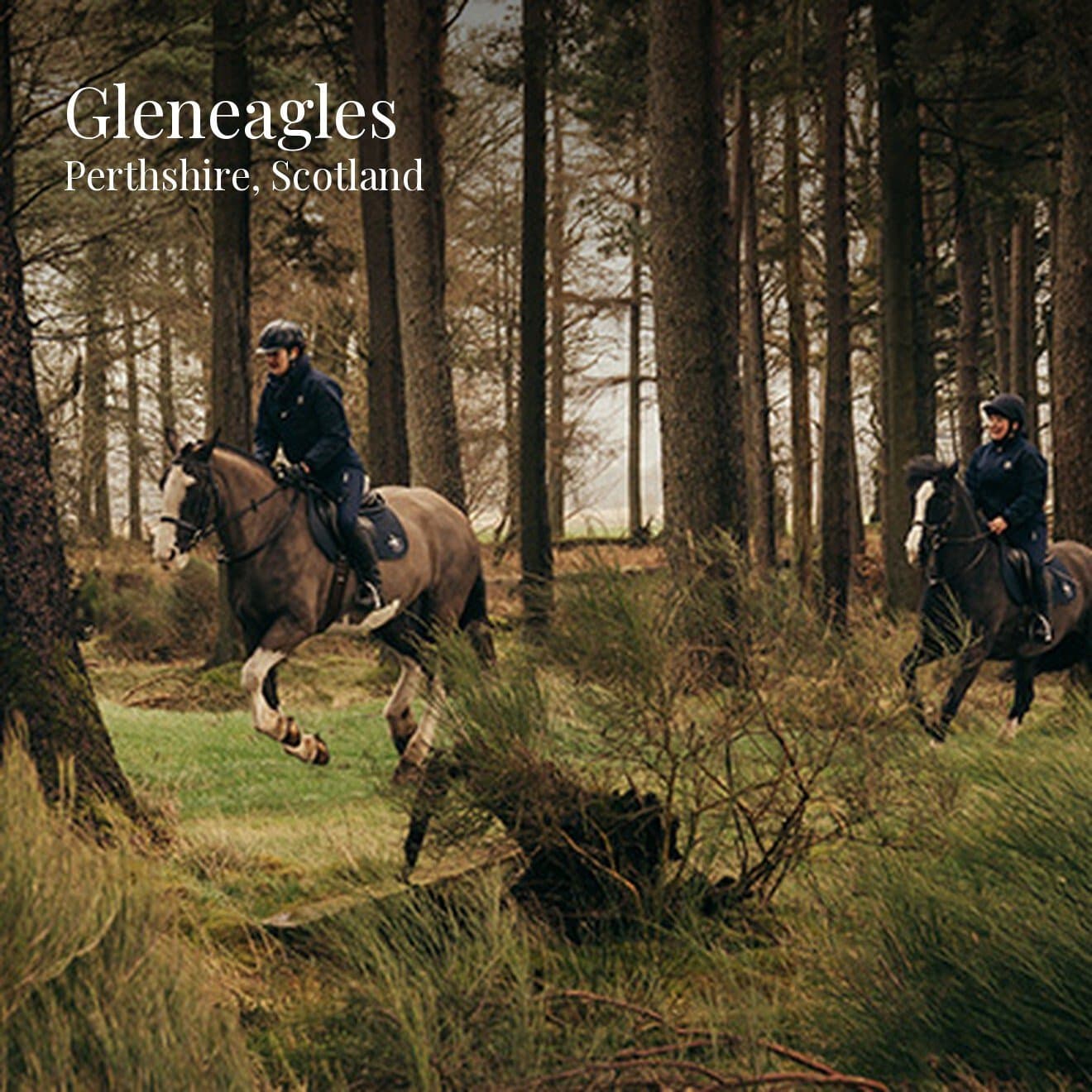 Gleneagles, image 1 of 1