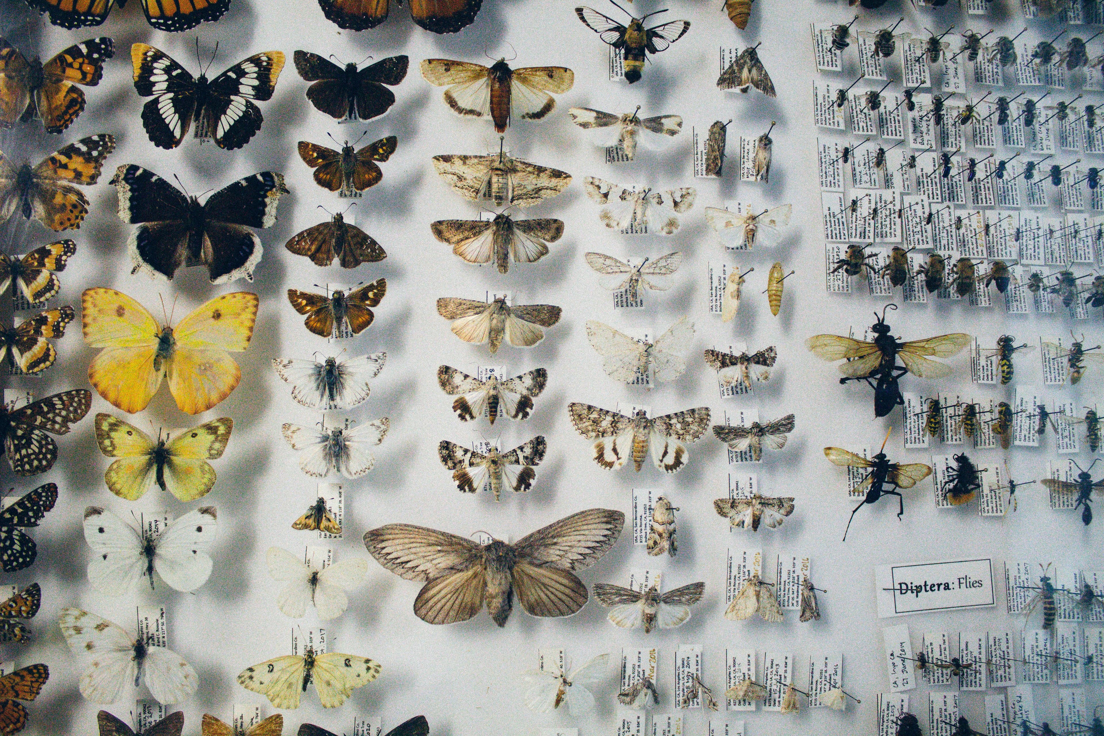Peggy Notebaert Nature Museum, image 1 of 1
