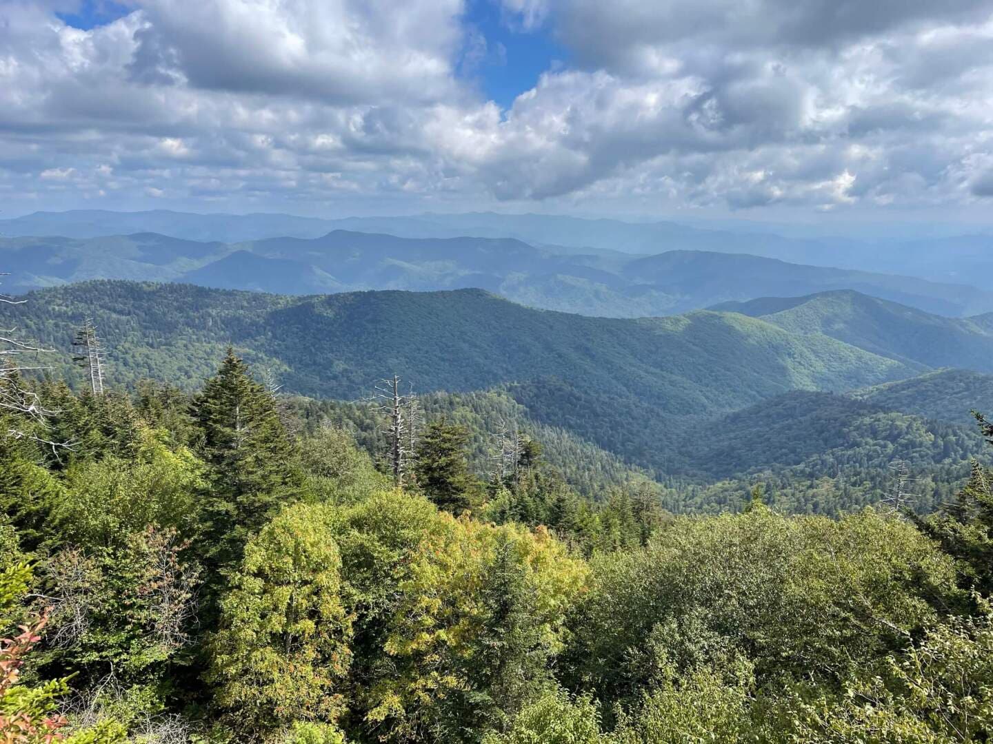 Great Smoky Mountains, image 1 of 1