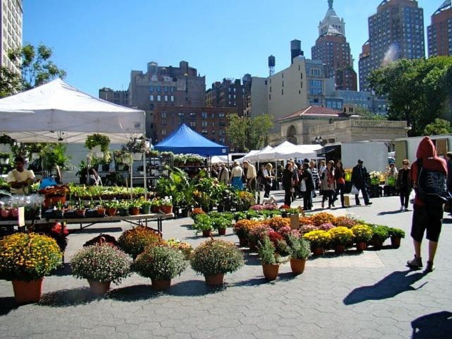 Union Square Greenmarket, image 1 of 1