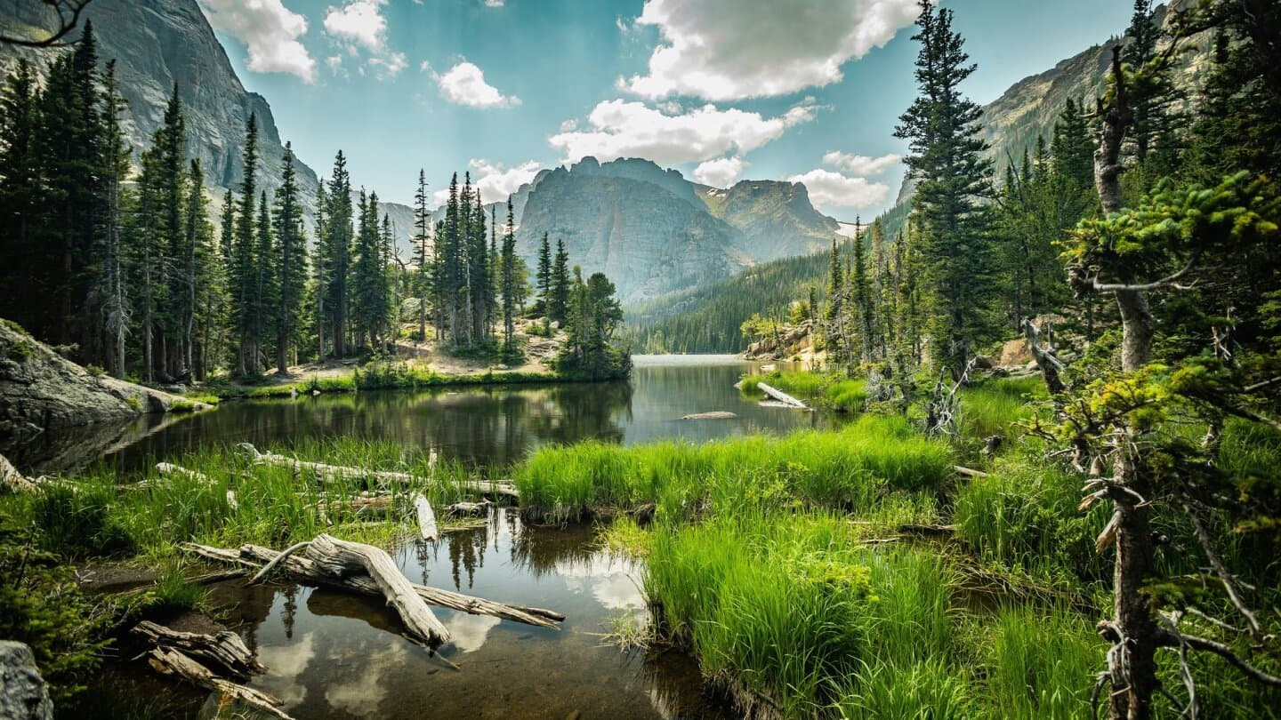 Rocky Mountain, image 1 of 1
