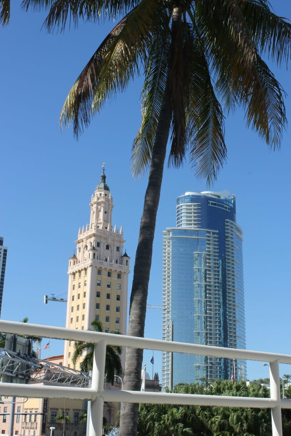 Miami Dade College Medical Campus Library, image 1 of 1
