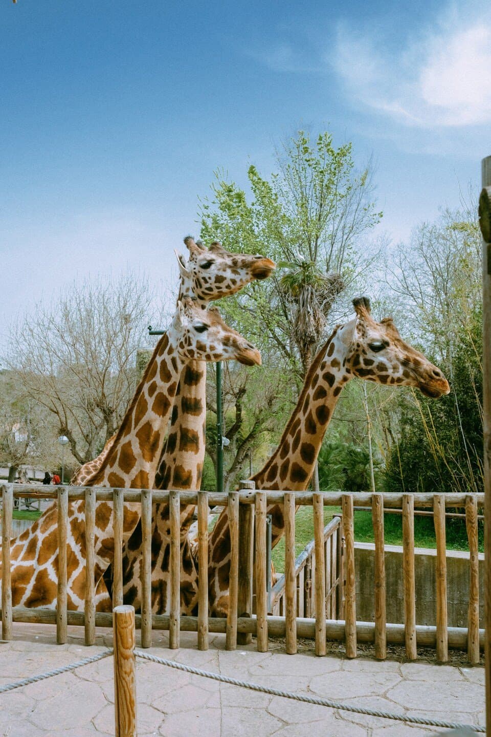 Zoo Basel, image 1 of 1