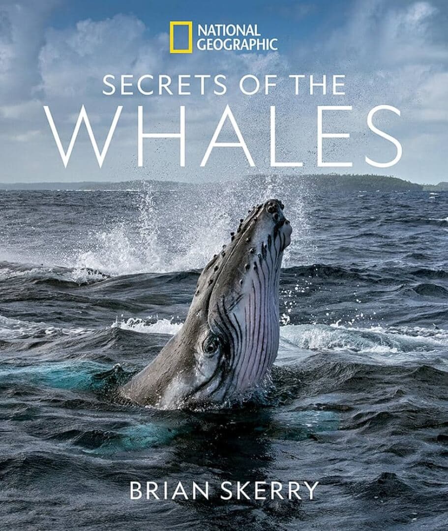 Secrets of the Whales, image 1 of 1