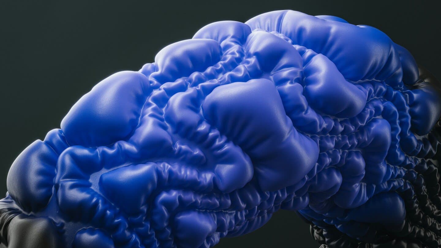 Long-term Potentiation in the Hippocampus, image 1 of 1