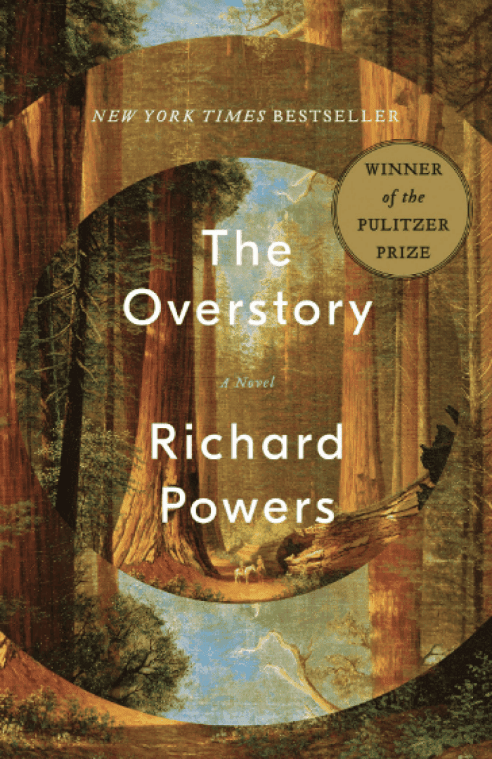 The Overstory, image 1 of 1