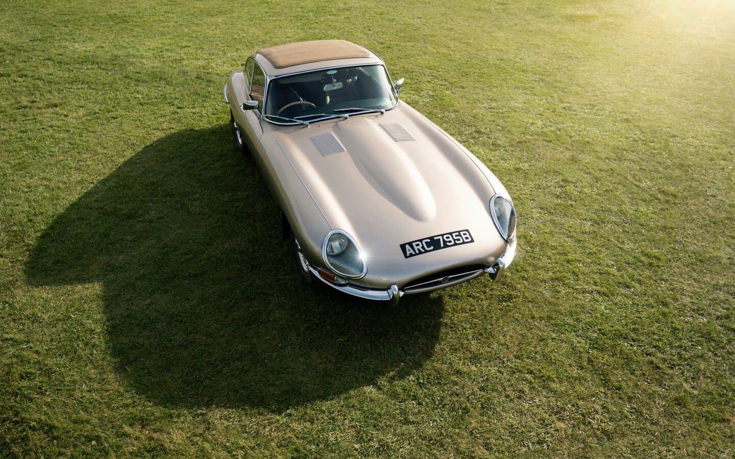 Jaguar E-Type, image 1 of 1