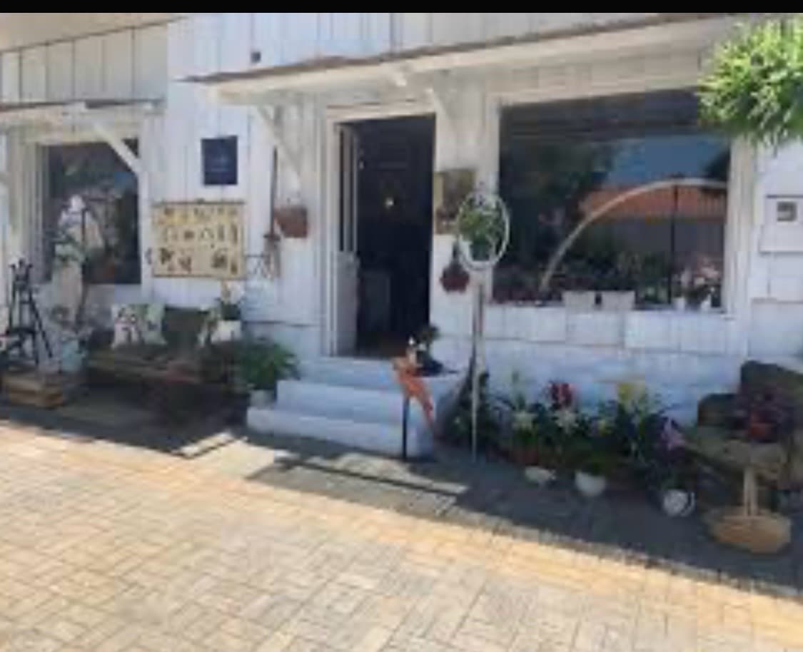 Caju Comporta, image 1 of 1
