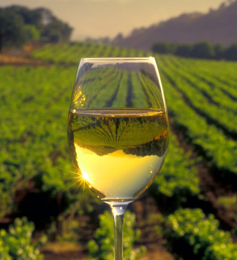 Riesling, image 1 of 1
