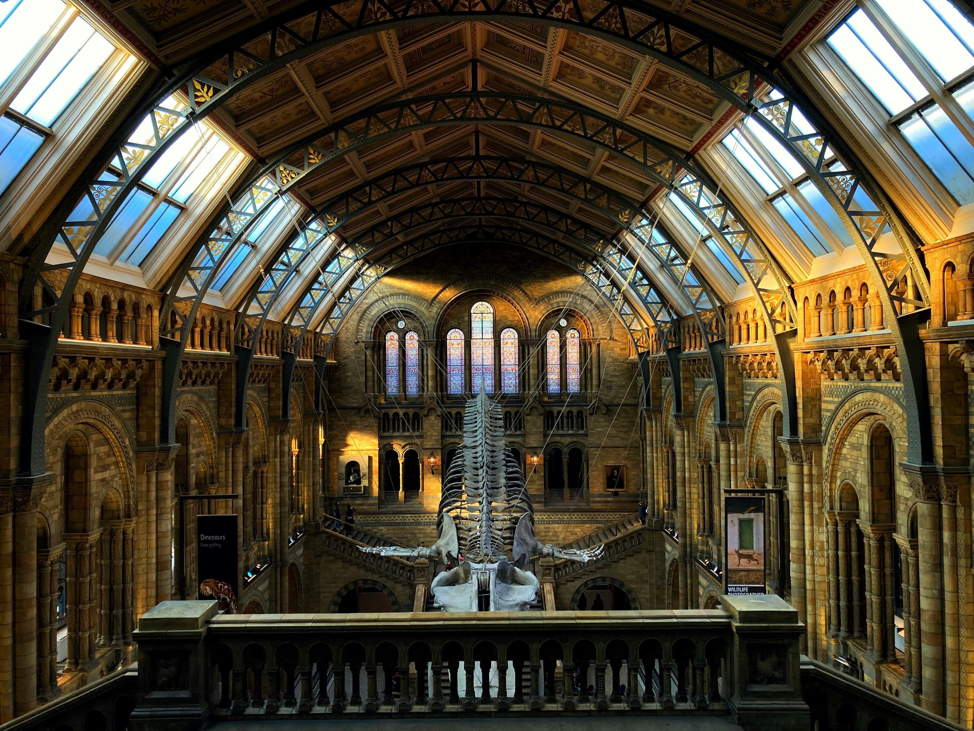 Alexander Fleming Laboratory Museum, image 1 of 1
