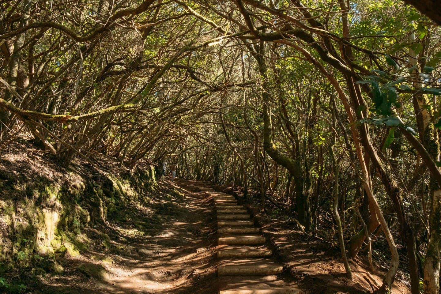 Sendero de los Sentidos, image 1 of 1