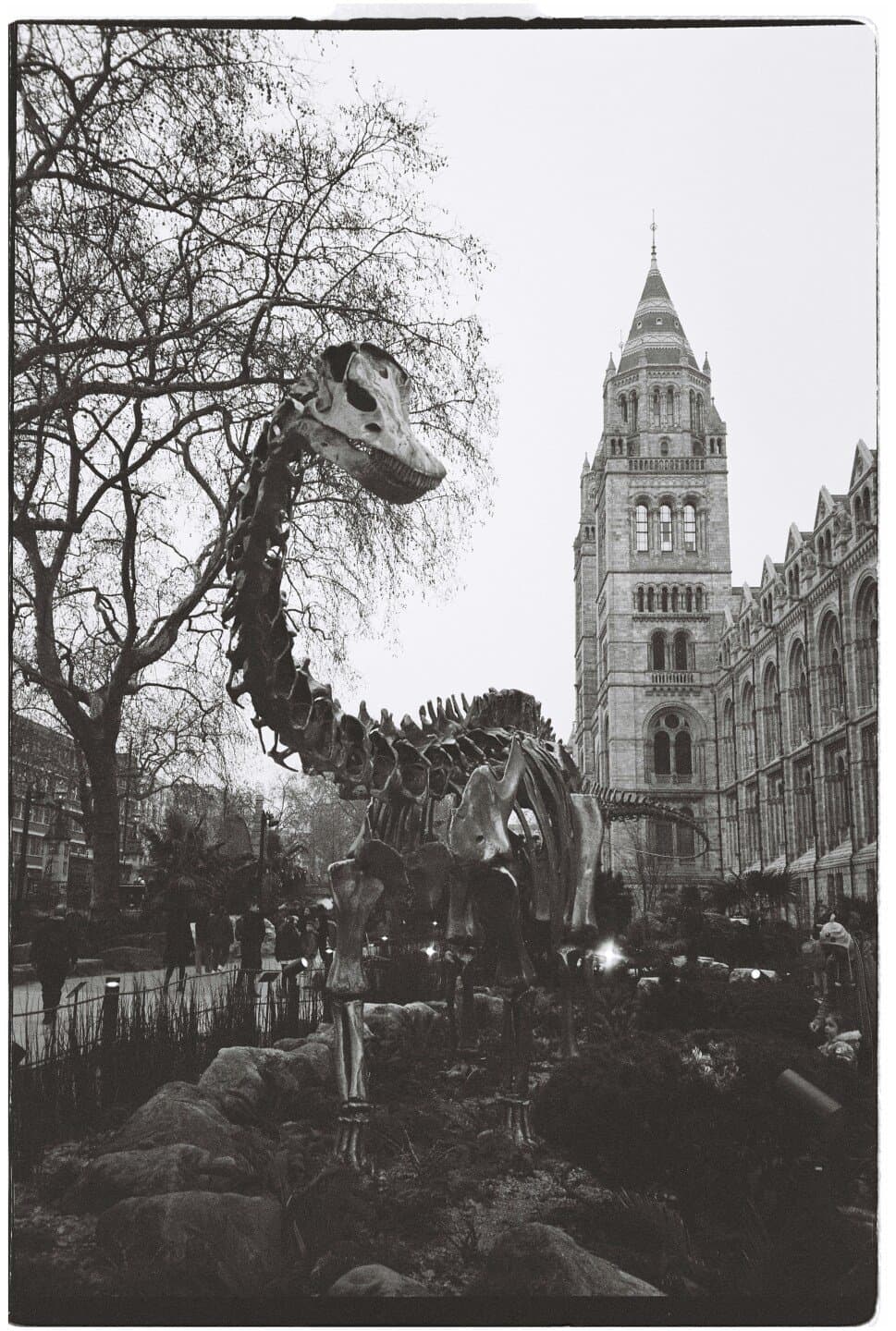 Science Museum, image 1 of 1