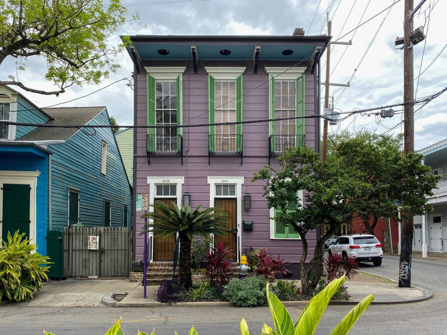 Nola, image 1 of 1