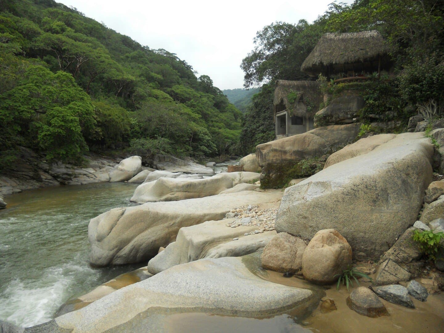 Rio Scenarium, image 1 of 1