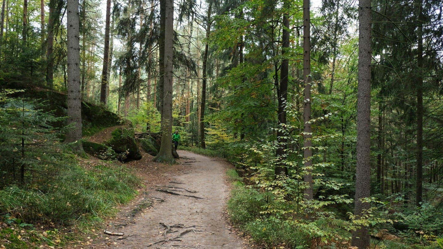 BärnParcours Dählhölzli, image 1 of 1