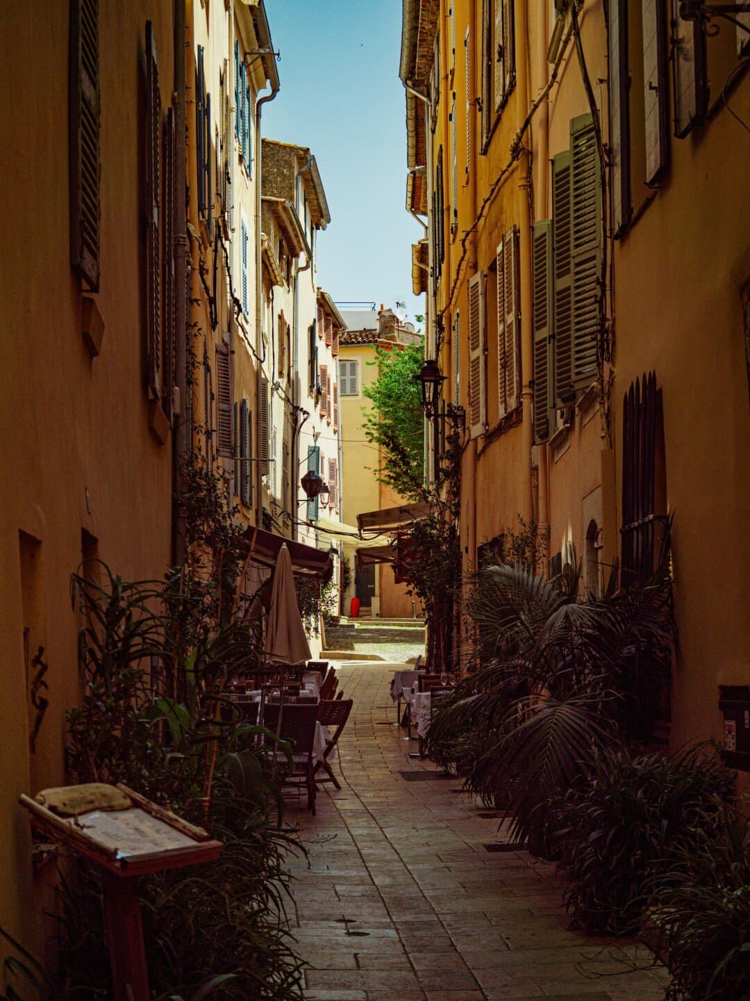 Bagatelle, image 1 of 1