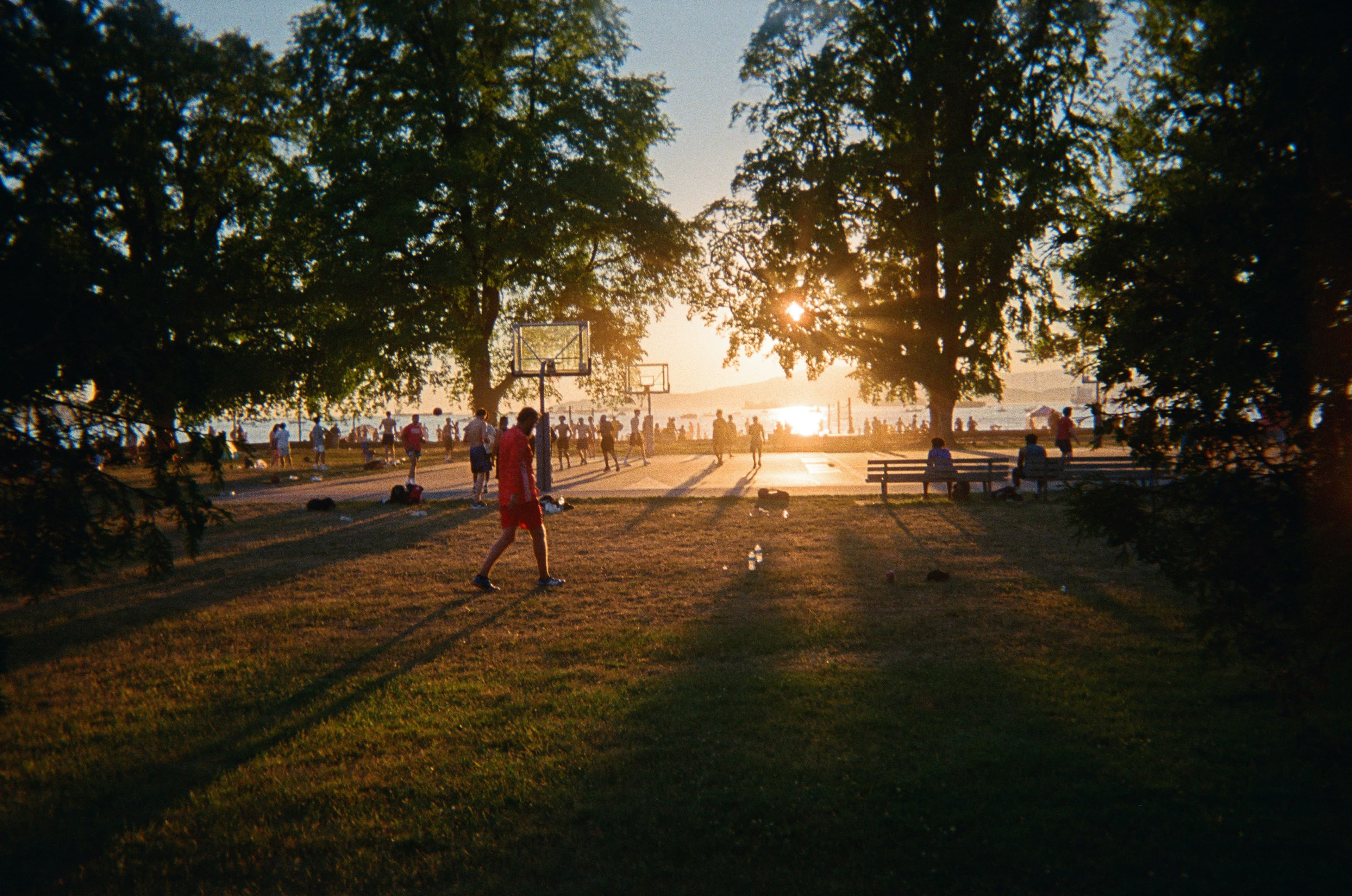 Socceroof – Sunset Park, image 1 of 1