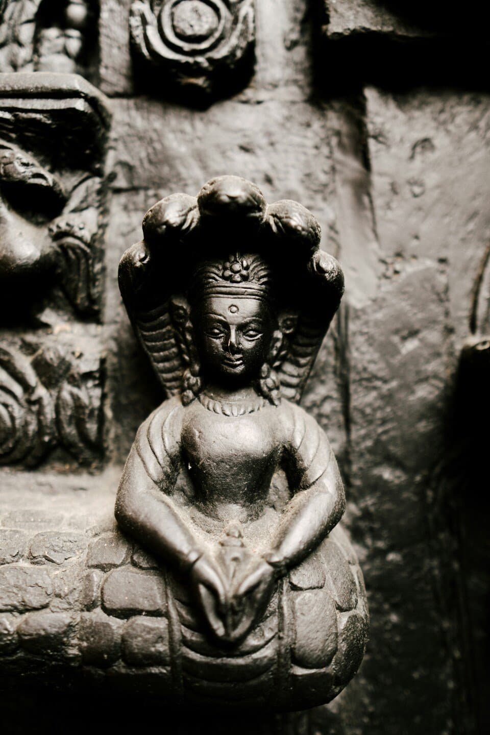 Gallery NAGA, image 1 of 1