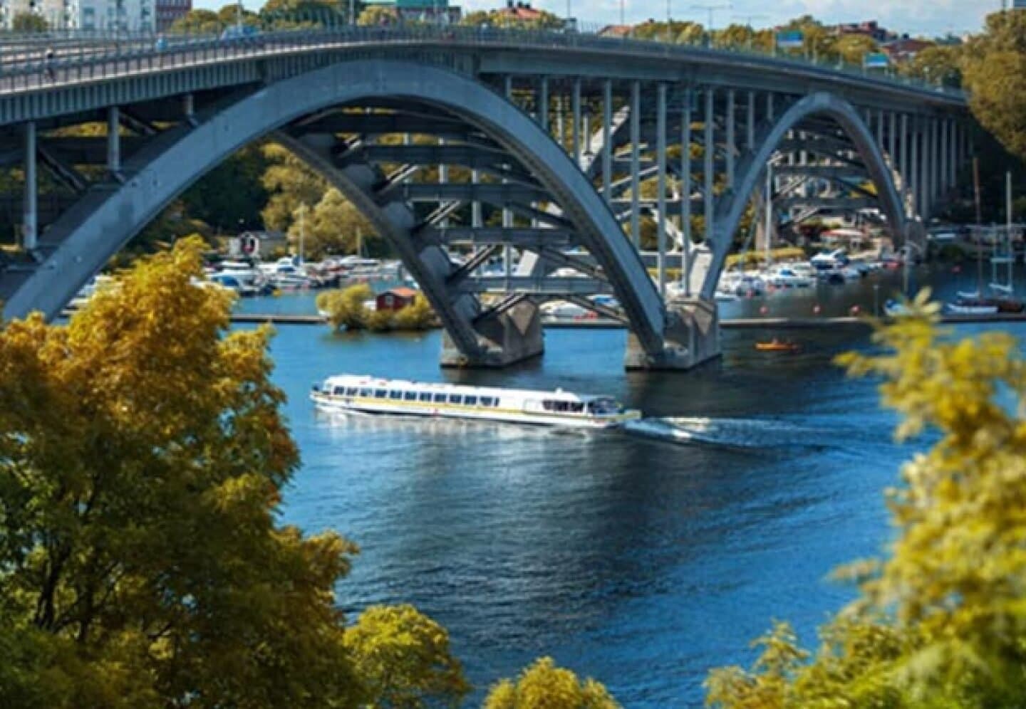 Viking Bridge, image 1 of 1